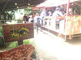 Lawatan ini merupakan kerja amali yang melengkapkan projek mereka di lapangan yang memberi sumber 2. Tiket Masuk Zoo Melaka Serendah Rm5 Tempat Lain Turut Menawarkan Harga Diskaun Sempena Pembukaan Semula Selepas Pkp Lima Minit