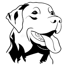 Grand piano keyboard layout with 88 keys. Labrador Silhouette Stock Illustrations 4 820 Labrador Silhouette Stock Illustrations Vectors Clipart Dreamstime