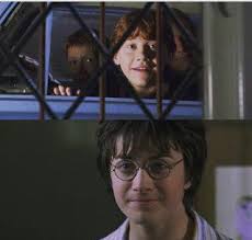 falopita (@falopita_)