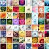 It can be used as wall panel, greeting card, banner. Https Encrypted Tbn0 Gstatic Com Images Q Tbn And9gct Rfhhozlmqcuuj5svthklmo5cvso7msbwsro0ozcakodfybbk Usqp Cau