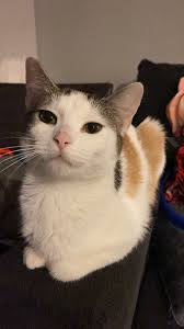 Byhalians For A Better Byhalia