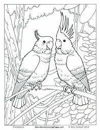 Wizard of oz coloring pages to print for kids q1cin. Pin By Astrid Godecke On Loulou S Coloring Pages Bird Coloring Pages Jungle Coloring Pages Animal Coloring Pages