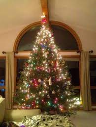 Claybrooke Tree Farm Tree Farms Tree Holiday Decor