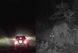 We did not find results for: Late Night Hikers Share The Creepiest Things They Ve Seen Wtf Gallery