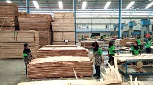 Silakan cek list berikut ini: Pabrik Kayu Skl Pandaan Https Www Bukalapak Com P Motor 471 Aksesoris Motor Aksesoris Motor Lainnya 1zr7nd7 Jual Radiator Atau Komponen Mobil Per Keong Ukuran Std Merk Apm Daihatsu S 89