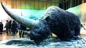 Learn more about the species we are working to protecting from becoming endangered or extinct. Extinct Species That Could Be Brought Back To Life Youtube