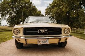 Image result for Sunlight Yellow 1964 Mustang