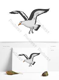 Lihat koleksi png burung cendrawasih gratis terbaru kami dengan latar belakang transparan, yang dapat anda gunakan dalam poster, desain flyer, atau powerpoint presentasi anda. Ai Kartun Vektor Desain Hewan Burung Elang Laut Elemen Grafis Templat Ai Unduhan Gratis Pikbest