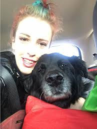 Newfie/Border Collie mix adoption success story