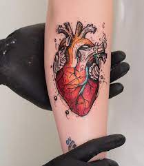 Download 200+ royalty free anatomical heart tattoo vector images. 39 Inspiring Anatomical Heart Tattoos Tattoobloq Anatomical Tattoos Tattoos Anatomical Heart Tattoo