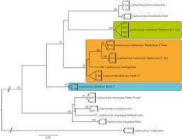 In this article, we'll look into the total sbi vacancy latest update: Taxonomic And Genetic Diversity Of Rodents From The Arsi Mountains Ethiopia In Mammalia Volume 83 Issue 3 2019