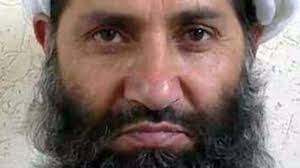 In late 2004, the then hidden taliban leader mohammed omar announced an insurgency against america and its puppets (i.e. Il 2mn5fzrfgjm