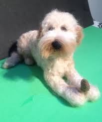 All finished now.....Waffles.