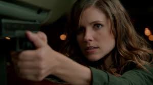 Inquisitore Televisivo: Hank Voight y la familia