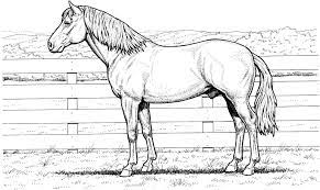 Realistic hard horse coloring pages. Horse Coloring Pages For Adults Best Coloring Pages For Kids