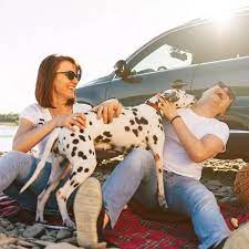 Save on car rentals when you plan your trip with budget car rental. Save On Greenville Car Rental At Woodruff Rd Budget Rent A Car