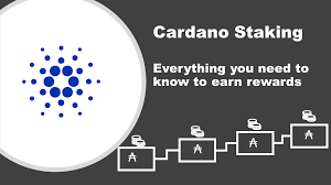 Here's what you need to know. Cardano Ada Staking 101 Everything You Need To Know Boinnex