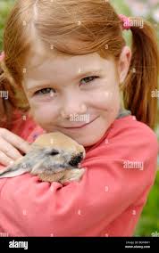 Little animals hi-res stock photography and images