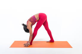 In vinyasa/flow style yoga, standing poses are resting or supine poses: Pose Definition Francais