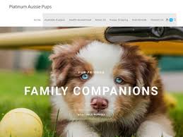 Maybe you would like to learn more about one of these? Puppy Scammer List Website Platinumaussiepups Com Platinum Aussie Pups Buy Australian Shepherd Online