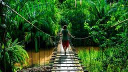 Beaches, cities, national parks, places to stay, food and drink. Costa Rica Hotels Compare Hotels In Costa Rica From Aed 7 Night On Kayak