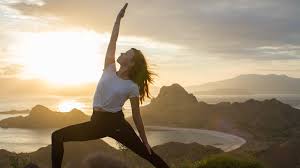 After booking, all of the property's details, including telephone and address, are provided in your booking confirmation and your account. 7 Days Living In The Wild Whale Watching And Yoga Retreat In British Columbia Bookyogaretreats Com