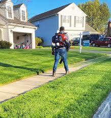 Email address (this will be your username) password. About Us Viana Lawn Care