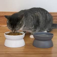Raised Cat Food Bowl Collection Stress Free Pet Feeder Waterer Eco Friendly 12 Raised Cat Food Bowl Collection Stress Fre In 2020 With Images Cat Food Bowl Cat Food Cat Bowls