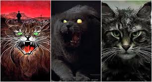 Sure, pet sematary is a story about evil from beyond the grave, reanimated animals, terrible physical injuries … but more than that, it's about what happens when we want something so much we don. Pet Sematary Book Vs Film Vs Film All The Differences Film