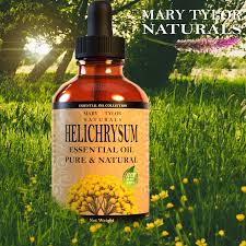 Image result for Helichrysum helvolum