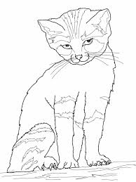 Home » coloring pages of animals » cats. Free Printable Cat Coloring Pages For Kids