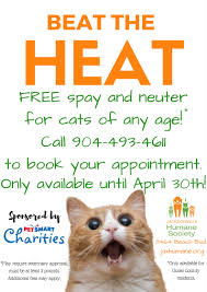 Spaying and neutering is the only way to reduce or eliminate that. Jacksonville Humane Society Free Spay And Neuter For Cats Of Any Age