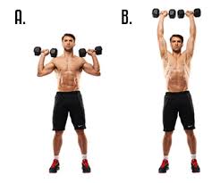 Standing Dumbbell Shoulder Press Workout Workout Plan Shoulder Workout