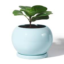 Choose pots with drainage holes. Potey Planter Ceramic Plant Flower Pot 5 Inch Large Indoor Glazed Container Bonsai With Drainage Hole Saucer Large Buy Online In Guernsey At Guernsey Desertcart Com Productid 170471161