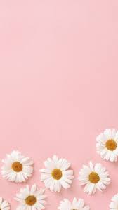 Check spelling or type a new query. Pin By Lexi On Pastel Shoot Flower Phone Wallpaper Pink Wallpaper Iphone Pink Wallpaper