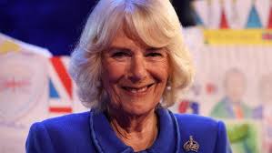 Princess Diana would have been ‘mortified’ to know Camilla became Queen