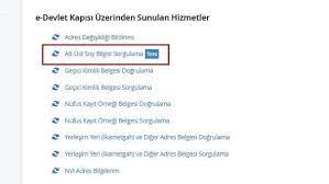 Soyagaci Ogrenme Ekrani E Devlet Soyagaci Sorgulama Daha Eski Tarihlere Neden Gitmiyor Son Dakika Haberleri