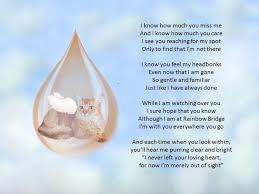 Rainbow Bridge For Cats 41 Best Animals In Hats Images On Pinterest Animals Rainbow Bridge Rainbow Bridge Cat Pet Grief