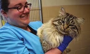 Dane County Humane Society's