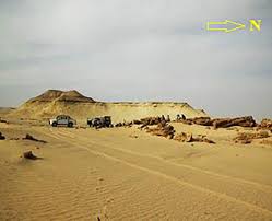 Image result for Coral Sand 1947 Kaiser