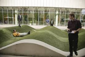 Healing In A Garden Horticultural Therapy Feels Good Photos Video Healing Garden Healing Garden Design Horticulture Therapy