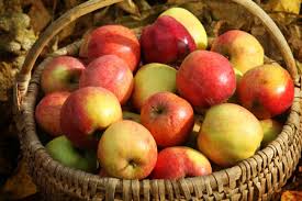 La compota de manzana preferentemente debe servirse templada aunque a mí fría también me resulta muy buena, sobre todo en verano. Manzanas En Otono Diferentes Variedades Y Consejos Para Utilizarlas En La Cocina