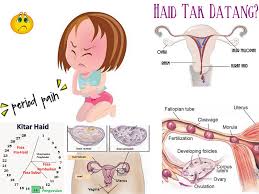 Obat perih datang bulan, menstruasi tidak lancar, pelancar haid. Punca Haid Tidak Datang Berbulan Bulan