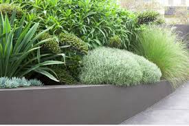 Pin By Kat Stevens On G R E E N S P A C E Outdoor Gardens Contemporary Garden Australian Garden