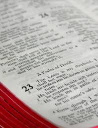 Obituary information for June Wilma Neeb (nee Taylor)