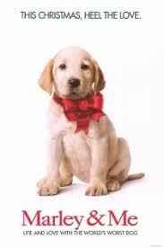 It's shaggy and scattered, but give marley a biscuit for its realistic depiction of how powerful can be the. Marley Me 2008 Technical Specifications Shotonwhat