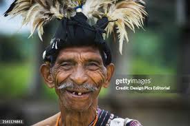 643 David Timor Stock Photos, High-Res Pictures, and Images