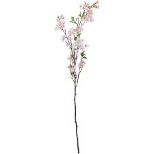 Download transparent flower stem png for free on pngkey.com. Linea Pink Cherry Blossom Single Stem Planting Flowers Nature Backgrounds Pretty Nature Pictures