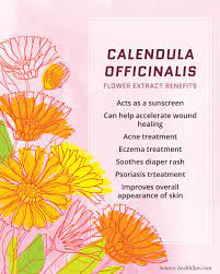 Pin On Skincare
