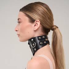 Brown Posture Collar